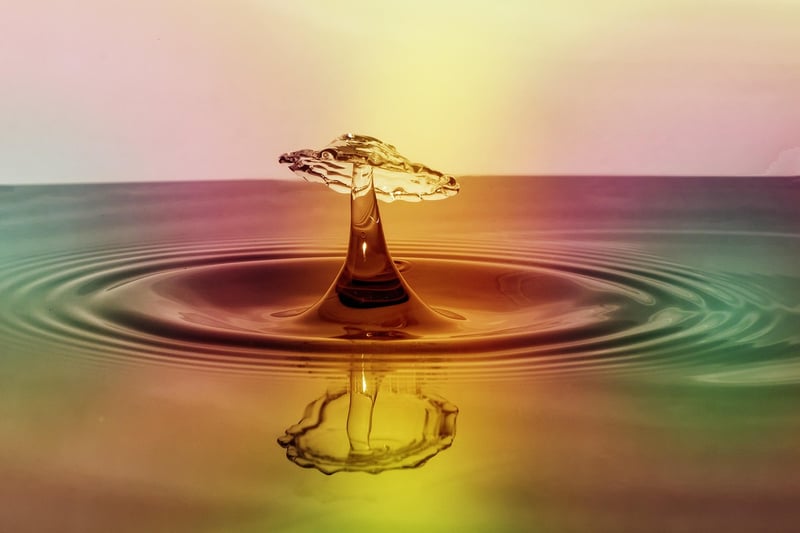 Ripple Price Trends